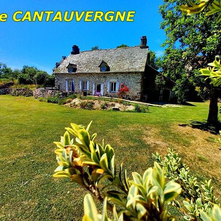 Gite Cantauvergne Vila Vebret Exterior foto