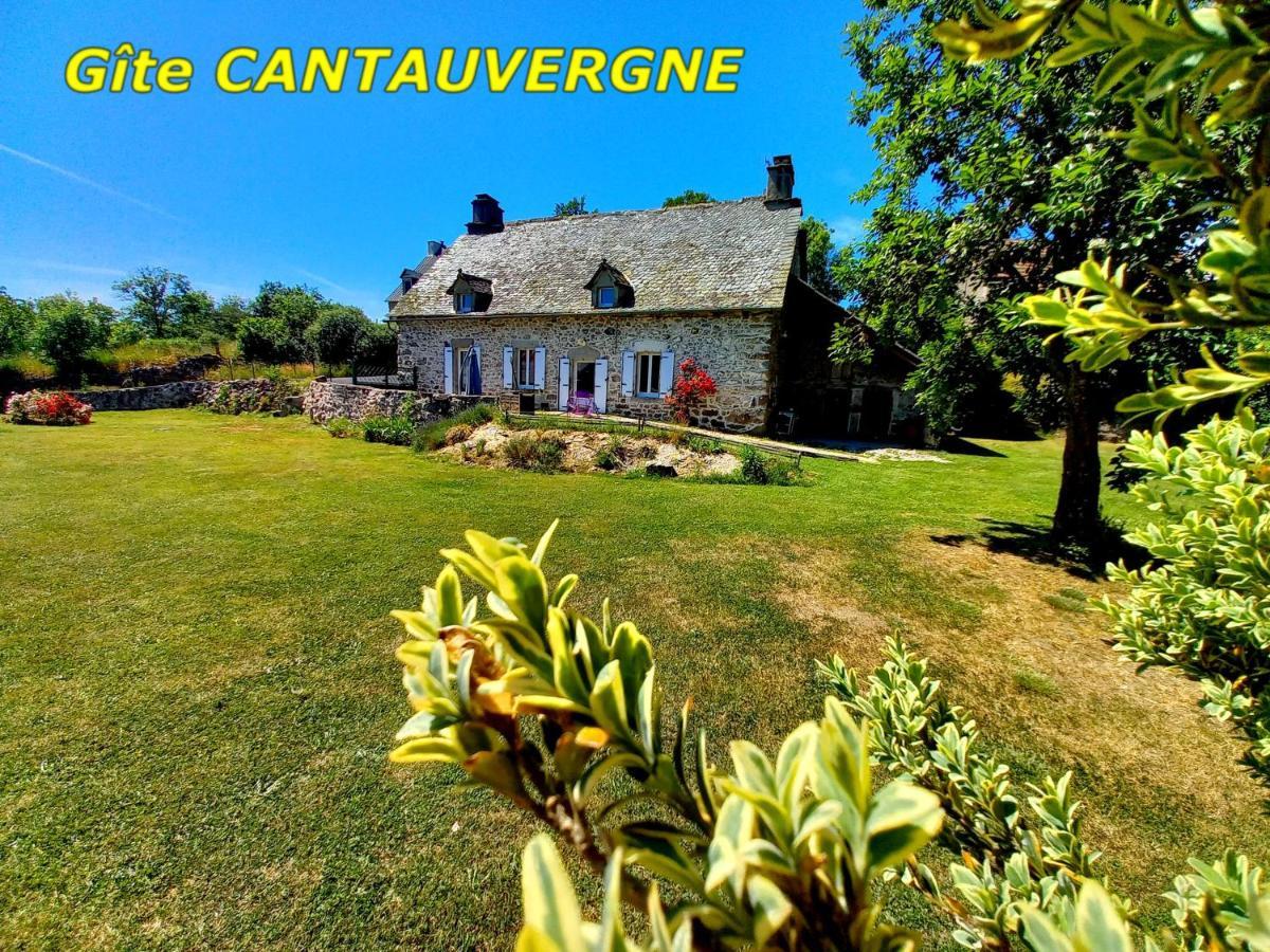 Gite Cantauvergne Vila Vebret Exterior foto