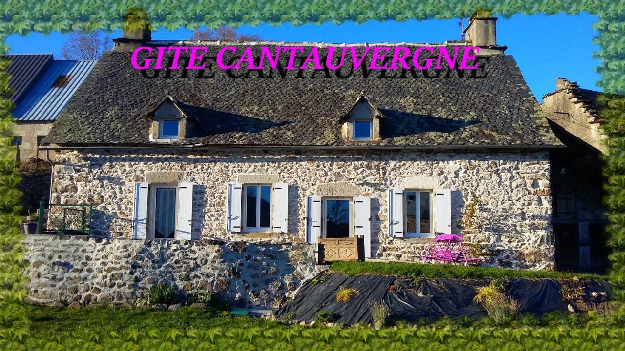 Gite Cantauvergne Vila Vebret Exterior foto