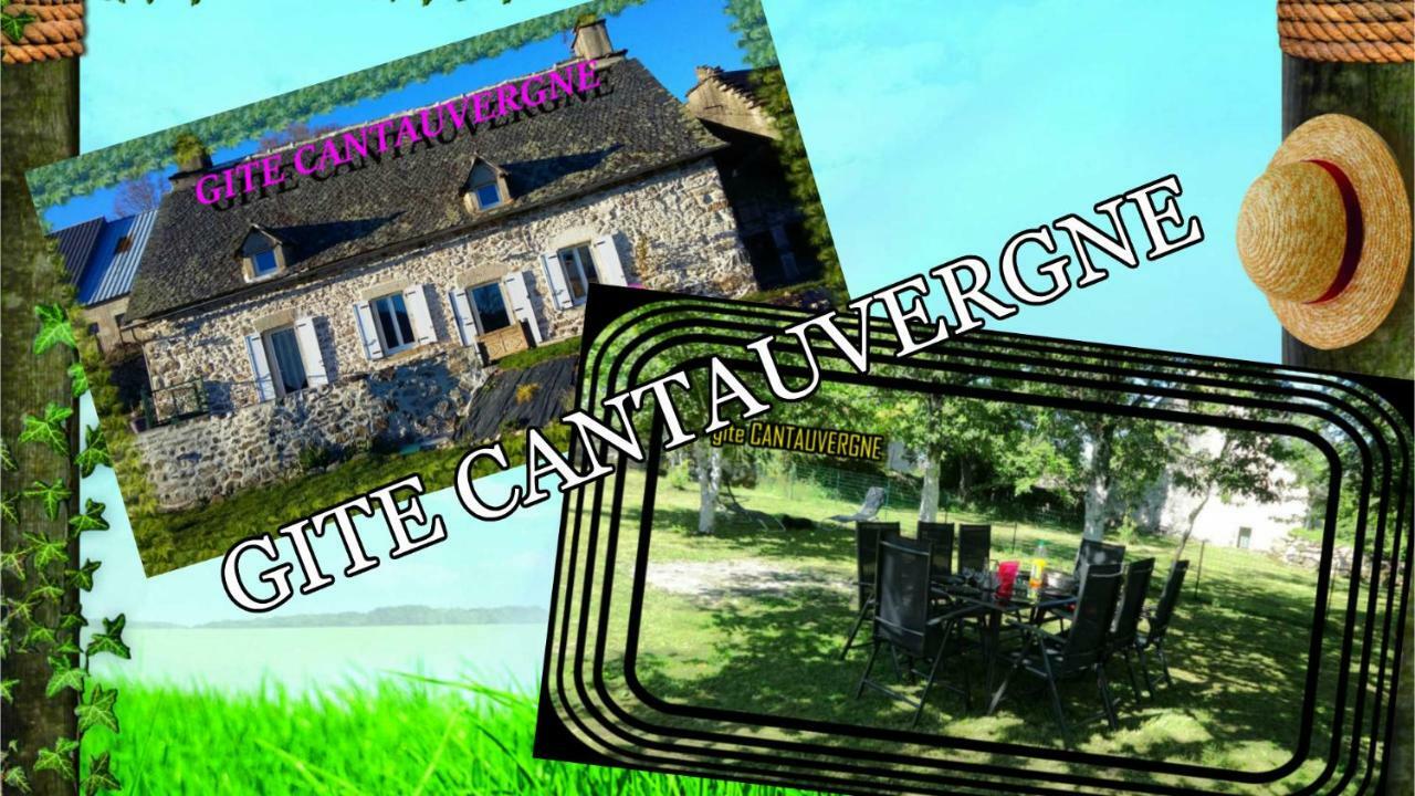 Gite Cantauvergne Vila Vebret Exterior foto