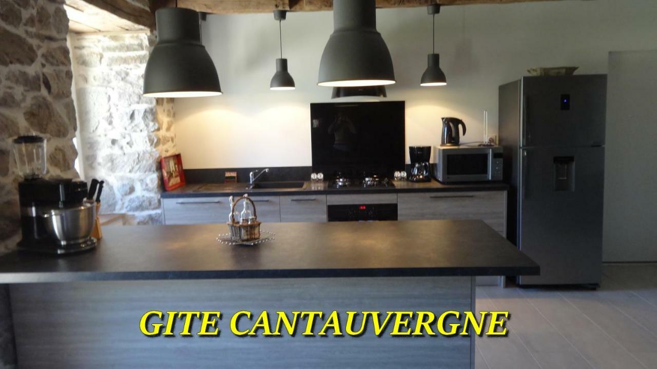 Gite Cantauvergne Vila Vebret Exterior foto