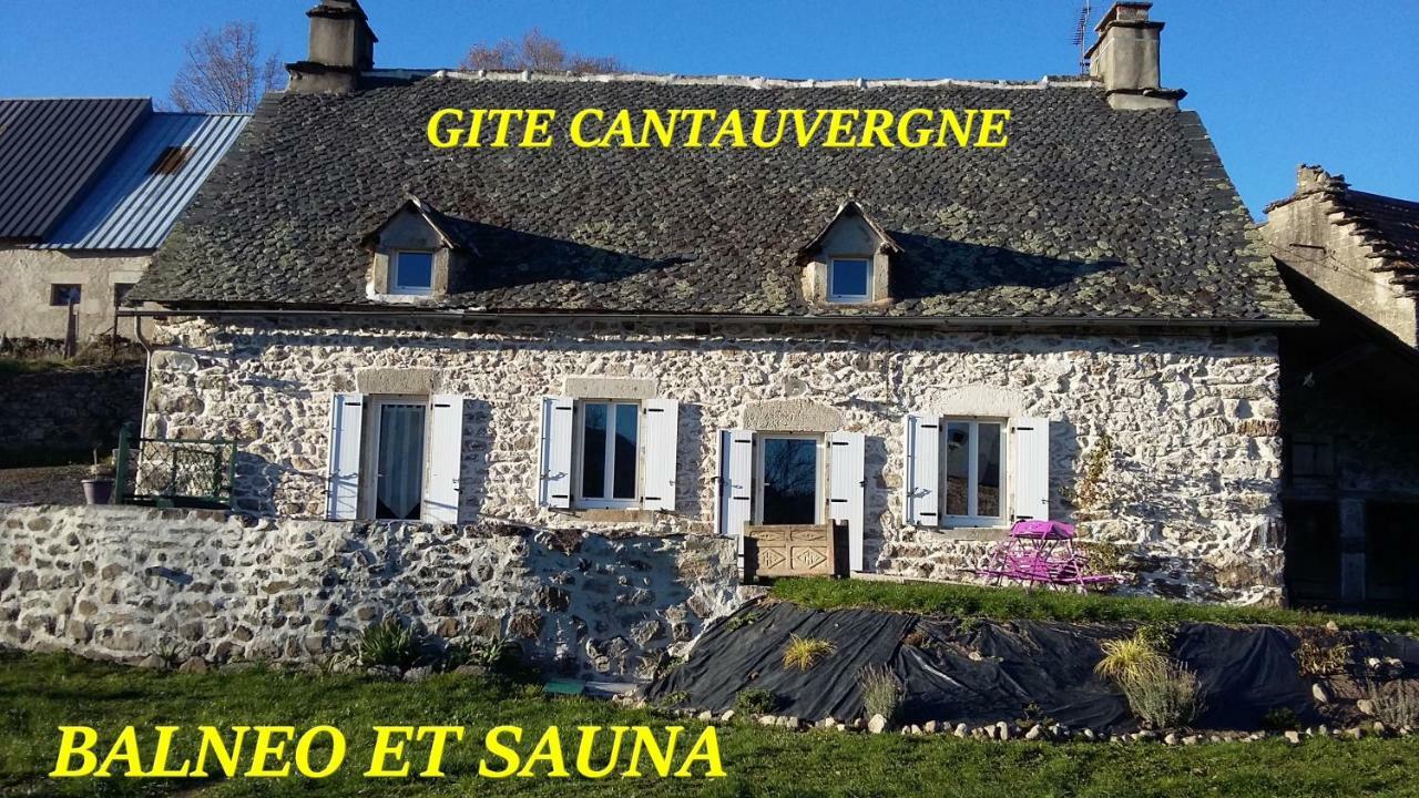 Gite Cantauvergne Vila Vebret Exterior foto