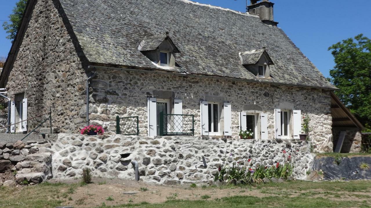 Gite Cantauvergne Vila Vebret Exterior foto