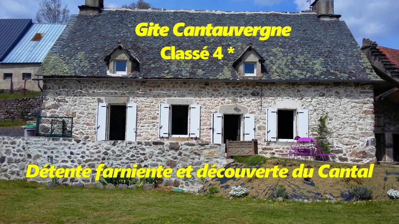 Gite Cantauvergne Vila Vebret Exterior foto
