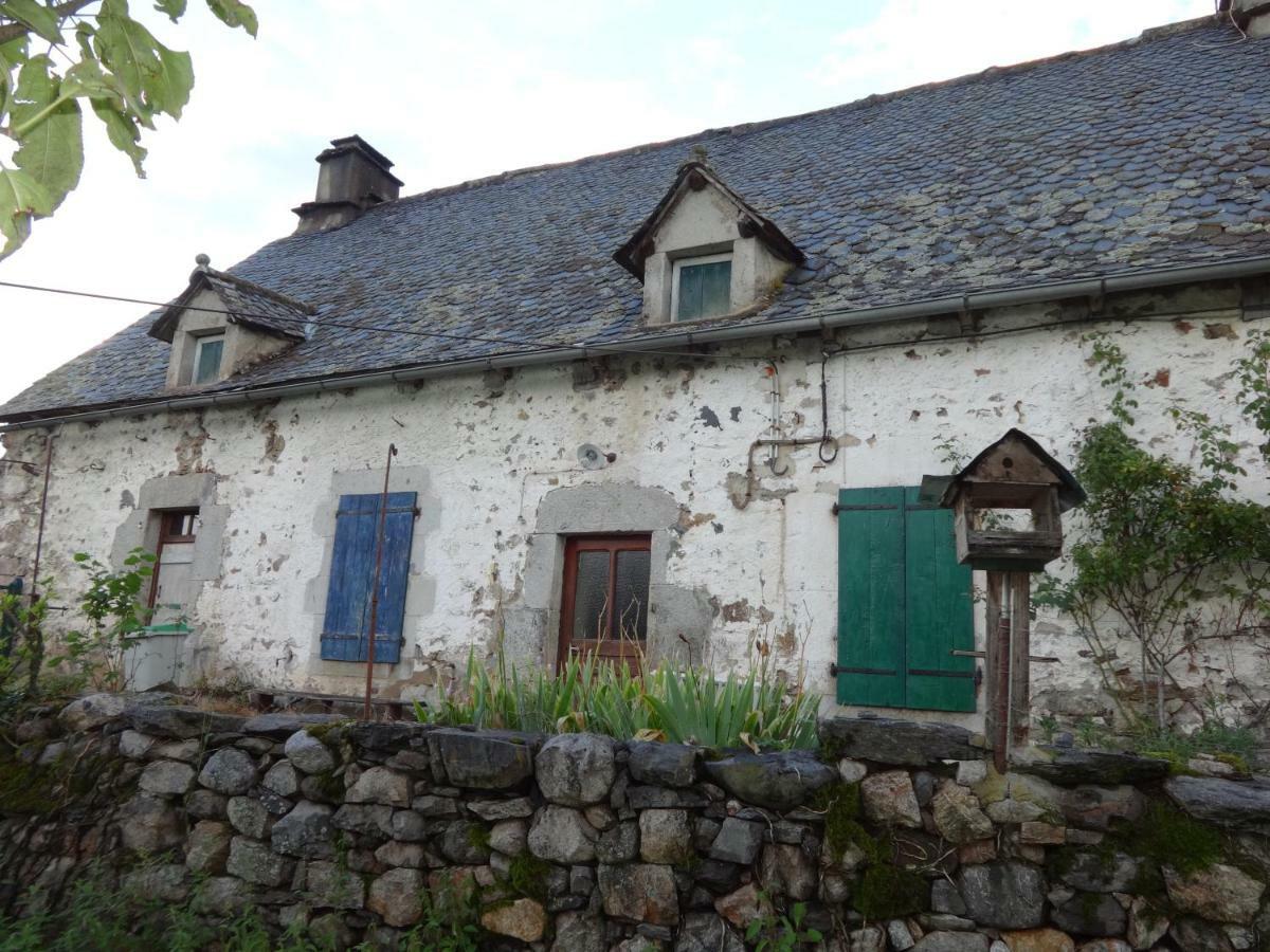 Gite Cantauvergne Vila Vebret Exterior foto